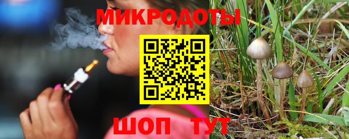 Галлюциногенные грибы Magic Shrooms  Вход с VPN  Зерноград  Галлюциногенные грибы Cubensis 